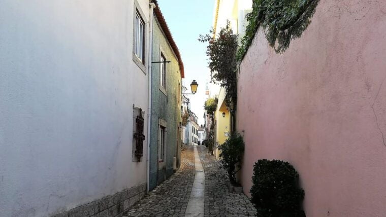 Cascais: Walking Tour Through Town Center - Who Should Consider This Tour?