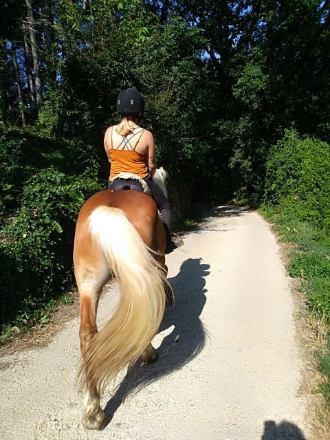Casentino: Horseback Riding Tour With Verna Sanctuary View - Good To Know