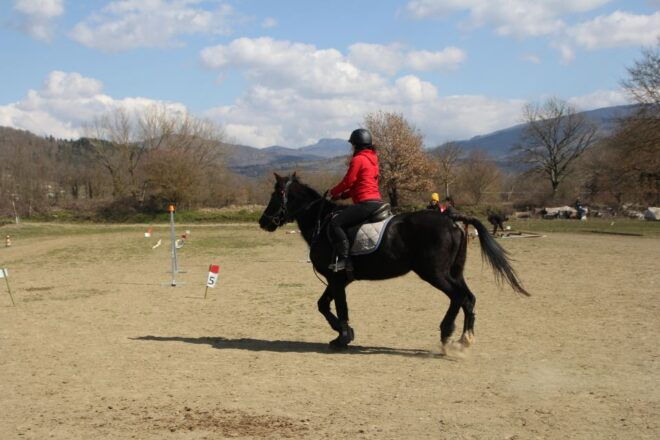 Casentino: Horseback Riding Tour With Verna Sanctuary View - Cancellation Policy and Reservation Details