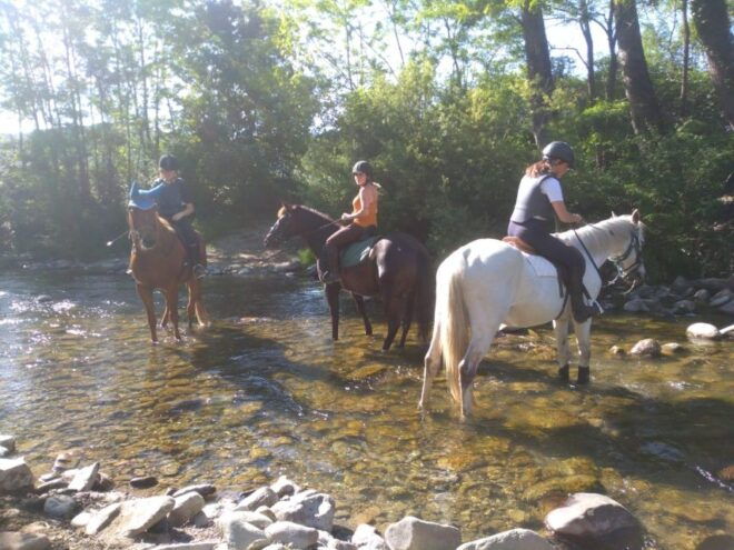 Casentino: Horseback Riding Tour With Verna Sanctuary View - Safety, Equipment, and Inclusions