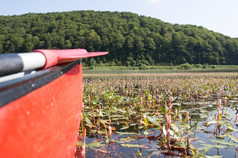 Caserta: canoeing excursion on Lake Matese - A Closer Look at the Canoeing Experience at Lake Matese