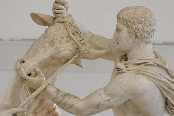Caserta Royal Palace and Archeological Museum of Naples Tour - Frequently Asked Questions