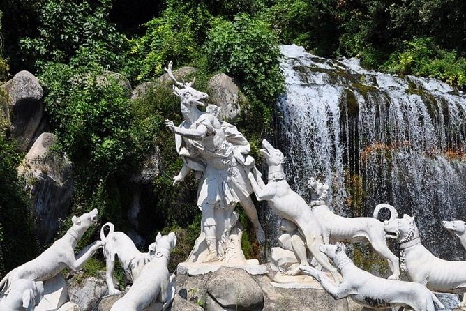 Caserta Royal Palace Entrance Ticket - Overview and Features