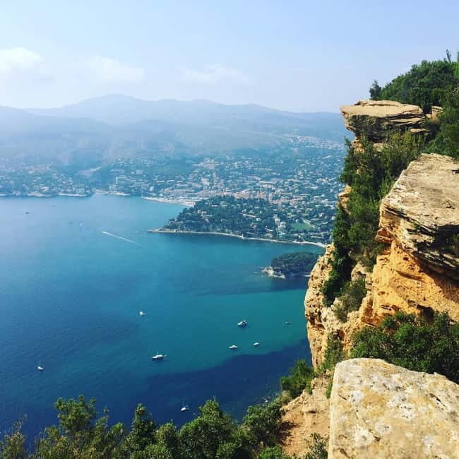 Cassis, Bandol, Le Castellet wine tour: Cliffs and Vineyards - An In-Depth Look at the Tour Experience