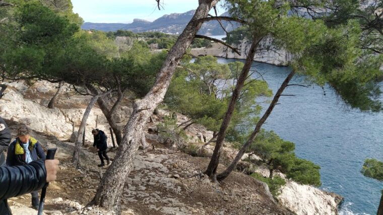 Cassis: Calanques National Park Guided Hiking Half-Day Trip - Customer Feedback