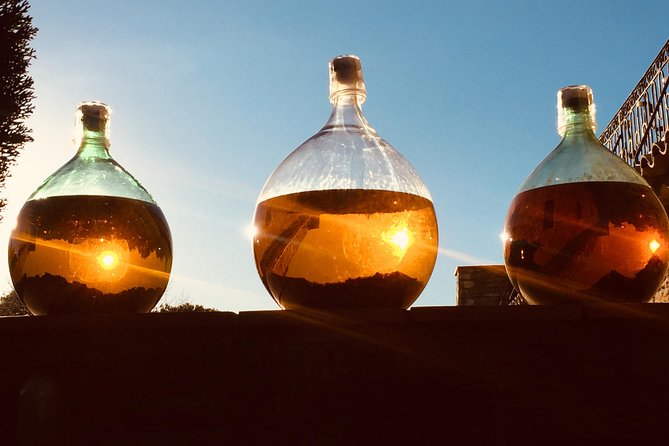 Cassis Highlights Half- or Full-Day Tour From Marseille - Tour Details