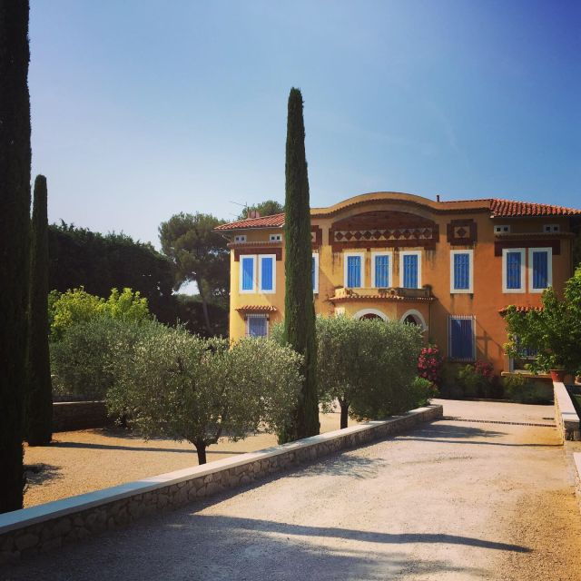 Cassis Wine Tour: Sea, Cliffs and Vineyards - Experience Highlights
