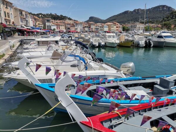 Cassis Wine Tour: Sea, Cliffs and Vineyards - Language Options