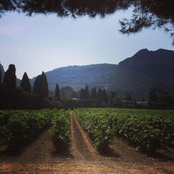 Cassis Wine Tour: Sea, Cliffs and Vineyards - Meeting Point and Directions