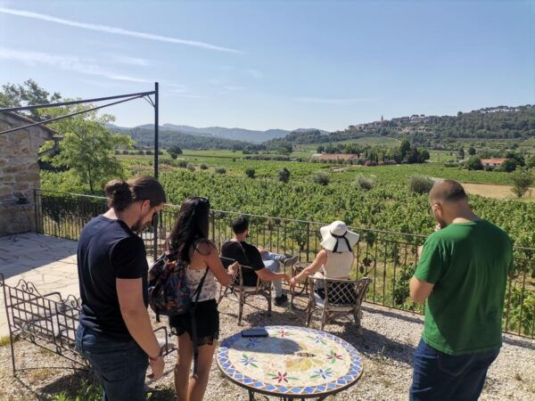 Cassis Wine Tour: Sea, Cliffs and Vineyards - Common Questions