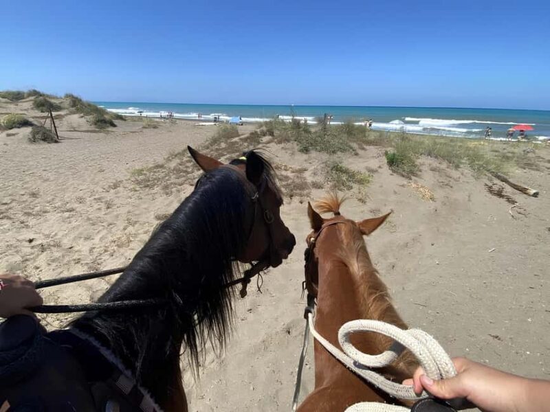 Castagneto Carducci: Horseback Riding Experience in Tuscany - Good To Know