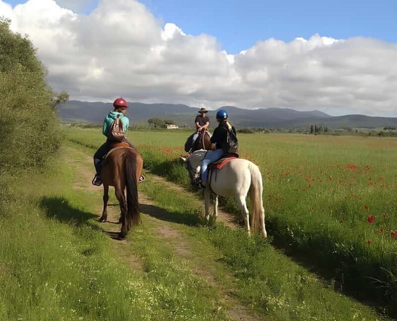 Castagneto Carducci: Horseback Riding Experience in Tuscany - An In-Depth Look at the Horseback Riding Experience in Castagneto Carducci
