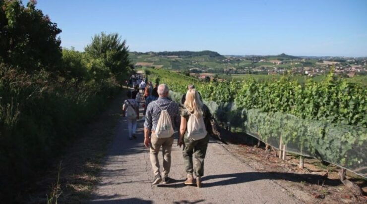 Castagnole Delle Lanze: Saffron Walking Tour W/ Wine & Food - Experience Highlights