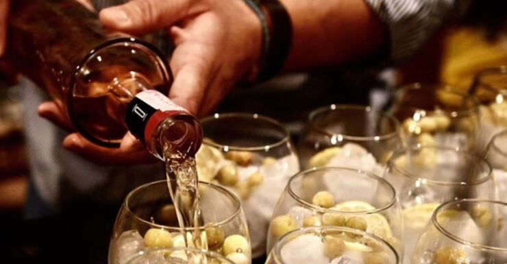 Castagnole Delle Lanze: Wine Guided Walking Tour - Booking Information
