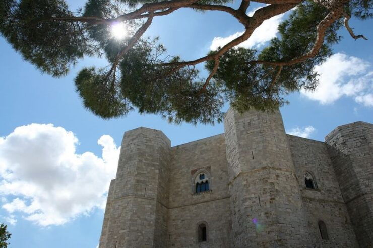 Castel Del Monte Tour With Transfer From Trani - Activity Details