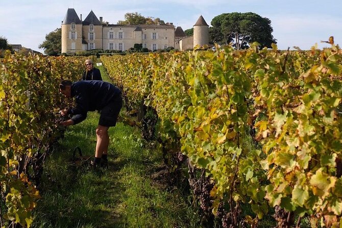 Castel Wine Tour in Bordeaux Margaux - Cancellation Policy