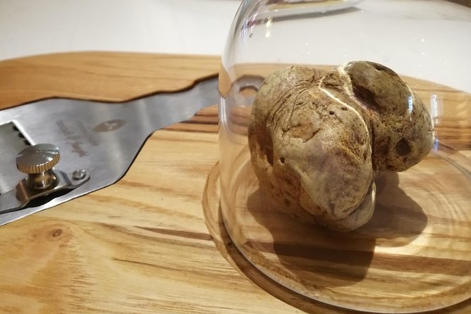 Castelfiorentino: Discovering Truffle and Tasting Experience - Meeting Point and Logistics