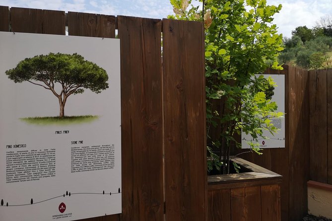 Castelfiorentino: Discovering Truffle and Tasting Experience - Frequently Asked Questions