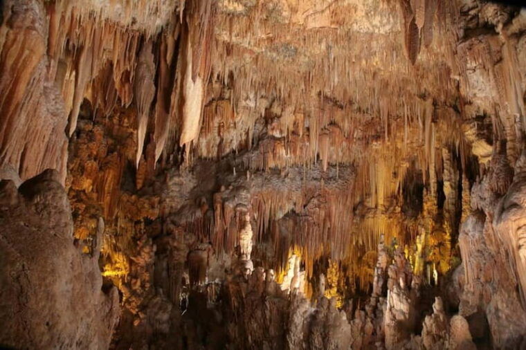 Castellana Caves & Polignano by Boat from Bari and Polignano - Who Should Consider This Tour?