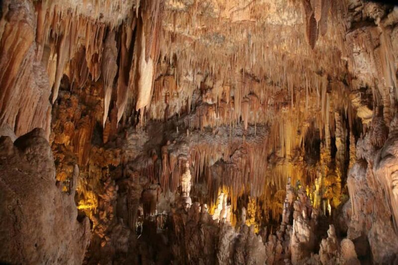 Castellana Grottoes: Official Guided Tour with Entry Ticket - What to Expect from the Castellana Grottoes Tour