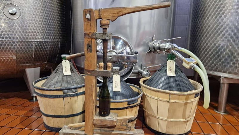 Castell'Arquato: Winery tour and tasting Colli Piacentini wines - Exploring the CastellArquato Winery Tour and Tasting of Colli Piacentini Wines