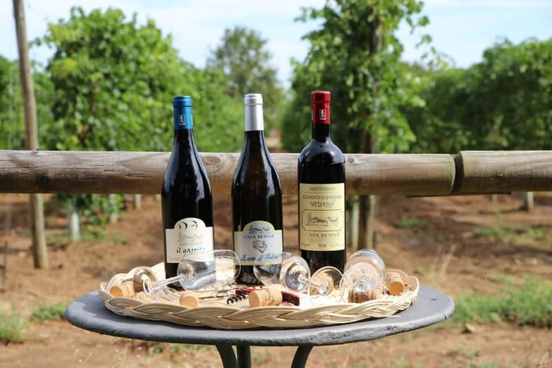 Castell'Arquato: Winery tour and tasting Colli Piacentini wines - Why This Tour is a Great Choice