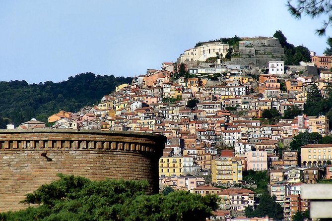 Castelli Romani: an Experience Between Art, Culture, Food & Wine - Culinary Delights