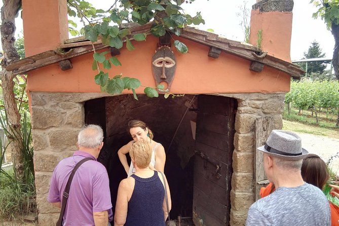 Castelli Romani, Frascati, Castel Gandolfo, Albano Lake + Wine Tasting - 8 Pax - Inclusions and Amenities