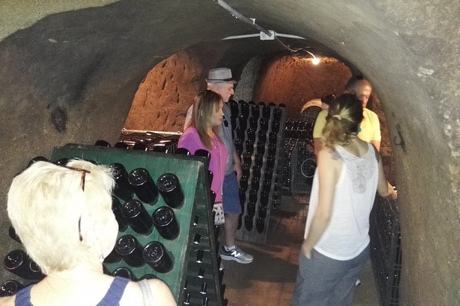 Castelli Romani, Frascati, Castel Gandolfo, Albano Lake + Wine Tasting - 8 Pax - Booking and Cancellation Policy