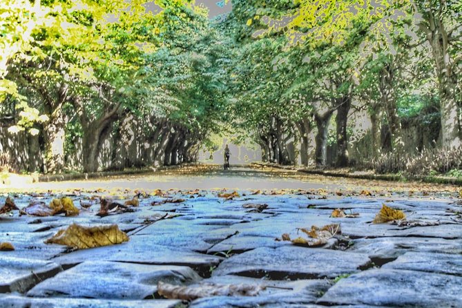 Castelli Romani Private E-Bike Tour With Winetasting Option (Feb ) - Tour Pricing and Booking Details