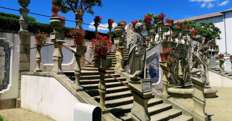 Castelo Branco: Culture and History Guided Tour With Museums - Experience Highlights
