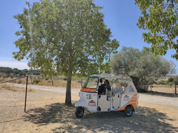 Castelo Branco: Discover the City by Tuk Tuk - Tour Itinerary