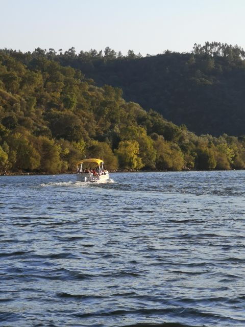 Castelo Branco: Portas De Ródão Natural Monument Boat Trip - Tour Highlights