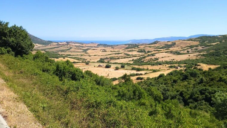 Castelsardo: panoramic ebike tour - What to Bring