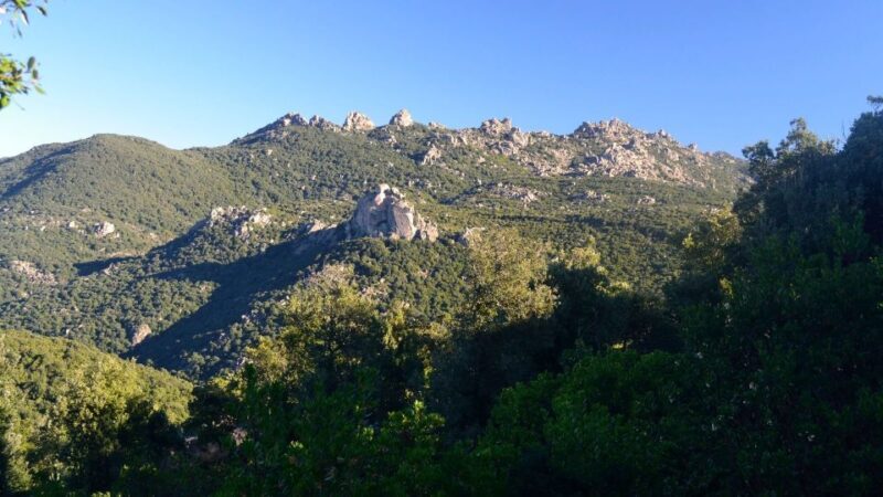 Castiadas: trekking in the S'Acqua Callenti forest - Overall Value and Experience