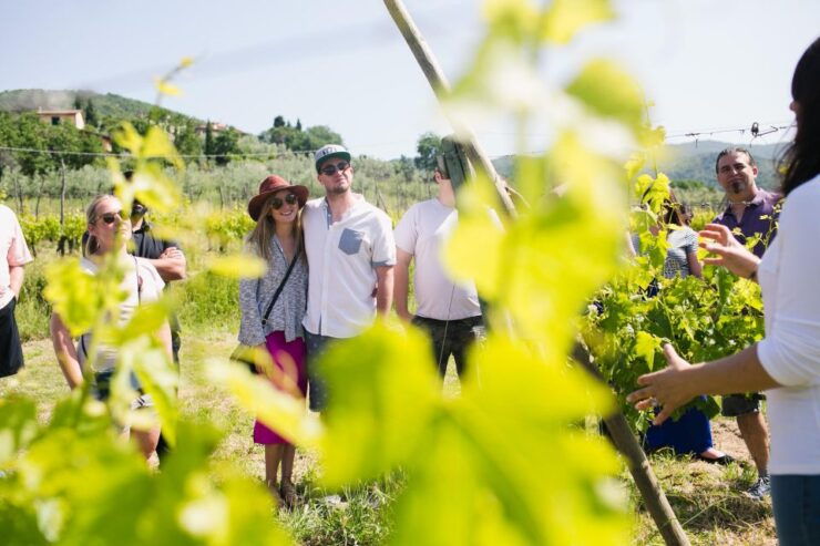 Castiglion Fiorentino: Buccelletti Wine Flight - Details