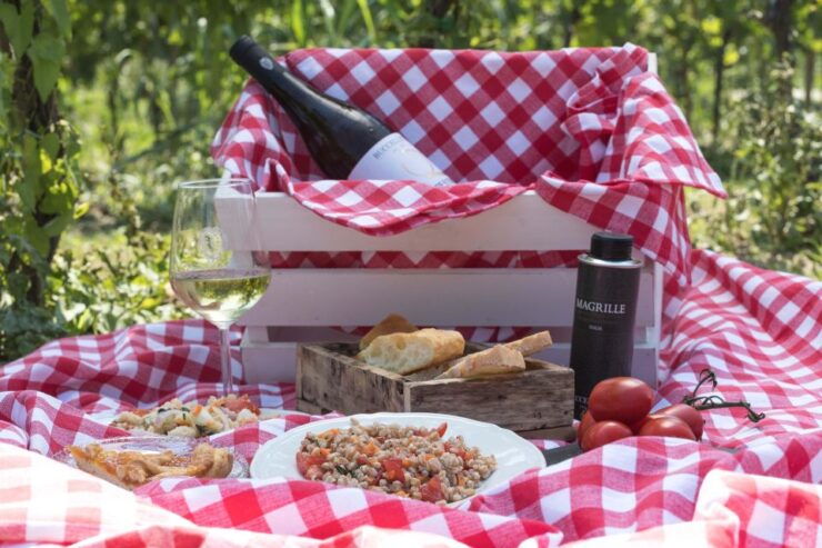 Castiglion Fiorentino: Buccelletti Wine Tour & Tasting - Activity Highlights