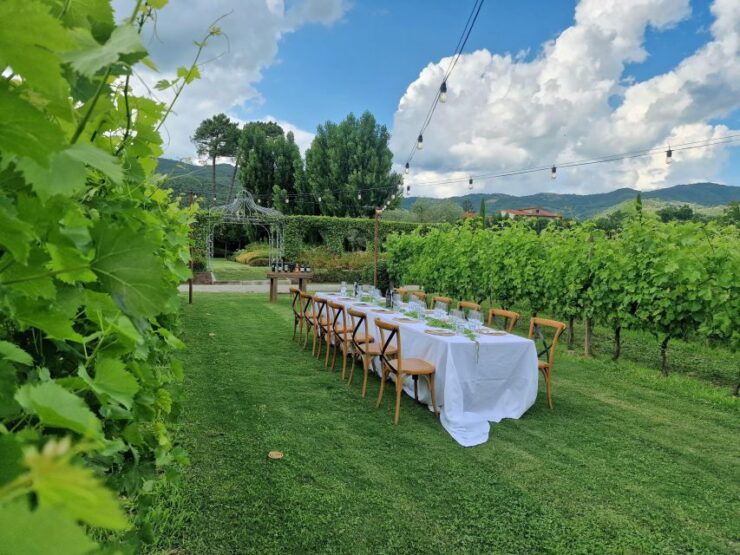 Castiglion Fiorentino: Tour, Tasting & Charcuterie Board - Language and Accessibility Information