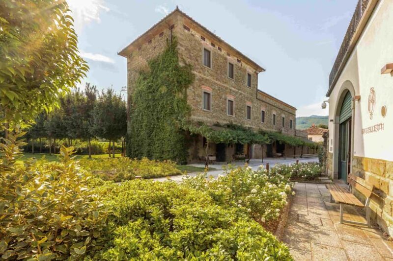 Castiglion Fiorentino: Vegetable Harvest And Wine Experience - The Value of the Experience