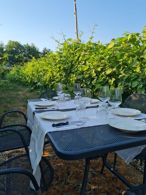 Castiglion Fiorentino: wine tasting with guided tour - Good To Know  