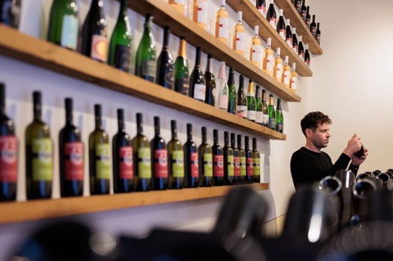 Castiglion Fiorentino: wine tasting with guided tour - What You Can Expect from the Tour  