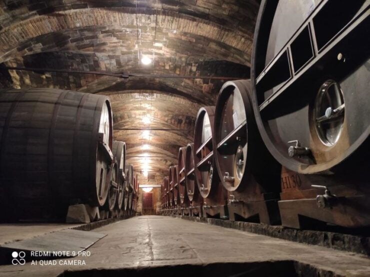 Castiglione Del Lago + Wine Tour + Visit to Città Della Pieve - Tour Overview