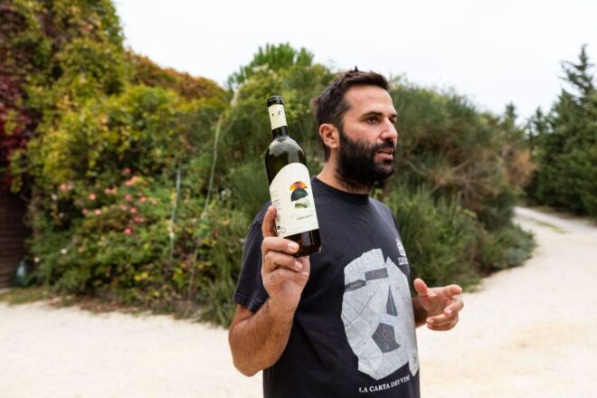 Castiglione in Teverina: Organic Wine Tour With Tasting - Activity Description