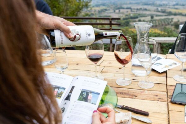 Castiglione in Teverina: Organic Wine Tour With Tasting - Booking and Important Information