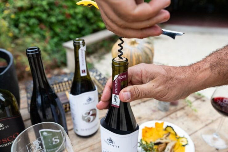 Castiglione in Teverina: Organic Wine Tour With Tasting - Sustainable Wine Tour Experience