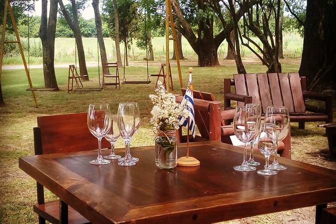 Castillo Viejo Winery Tour, Tasting of High-end Wine CataMayor - Winery Location