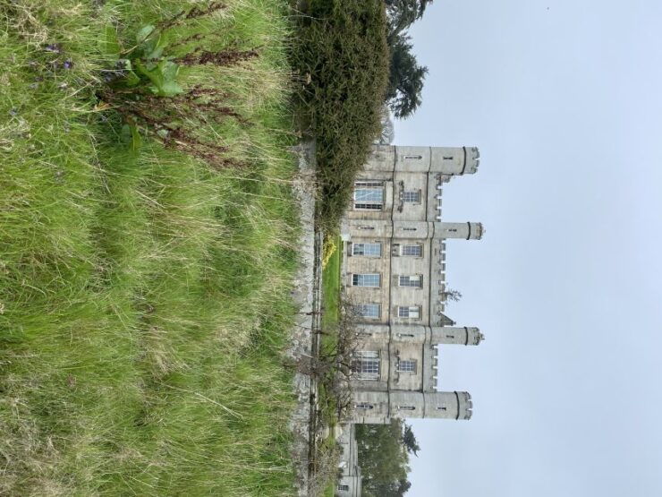 Castle and Coastline Electric Bike Tour - Experience Highlights