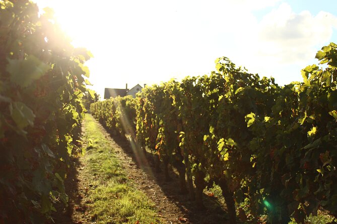 Castle Epicurean Experience With Wine & Local Specialties - Common Questions