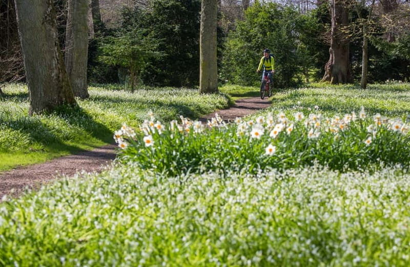 Castle, Gardens & Grounds Ticket - Who Should Consider This Experience?