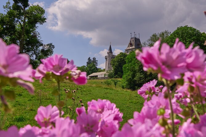 Castle Guided Tour (English) - Cancellation Policy